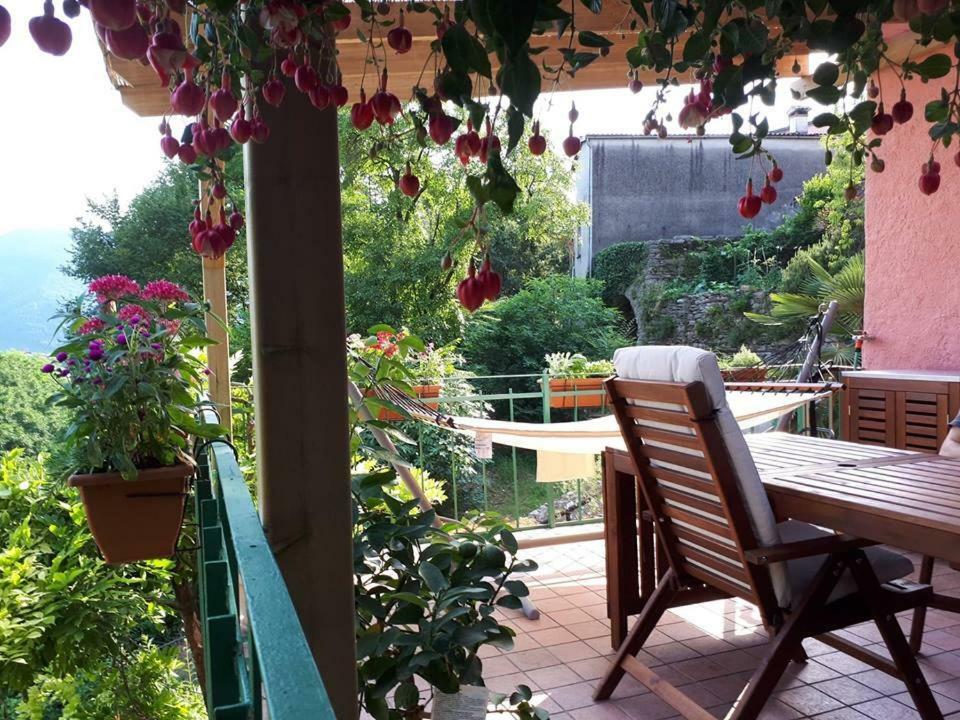 La Casa Rosa Di Segusino With Spa Jacuzzi In Garden Sequsino エクステリア 写真